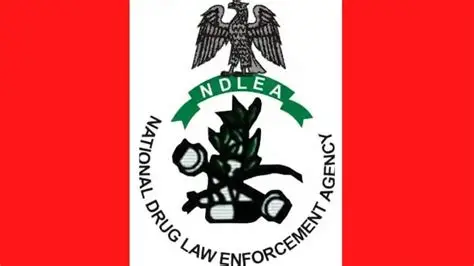 NDLEA Arrests Young Musician, Discovers Secret Drug Factory in Lagos